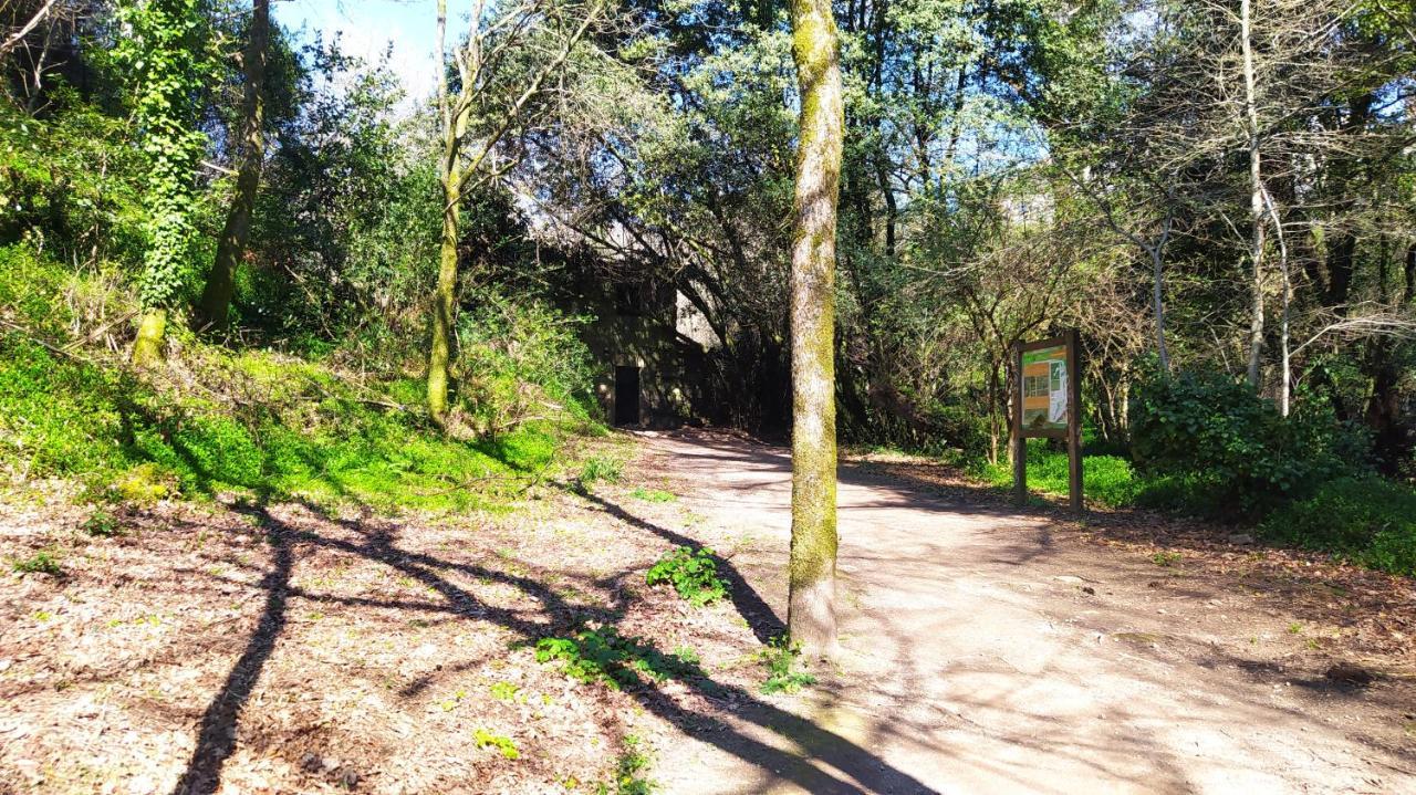 הוילה סנטיאגו דה קומפוסטלה Wasi Compostela מראה חיצוני תמונה
